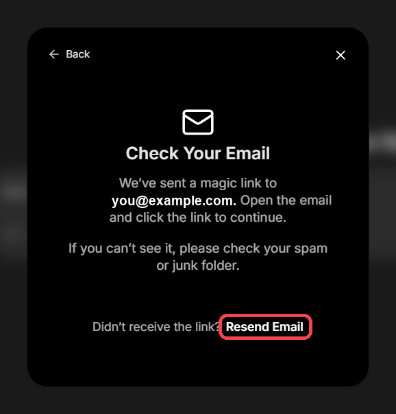 Pantalla Check Your Email, con Resend Email marcado
